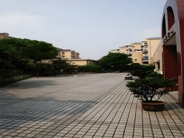 凤主天下